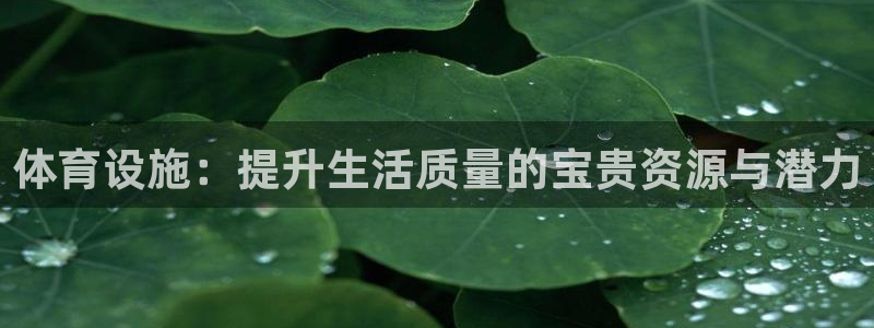 意昂4集团官网网址：体育设施：提升生活质量的宝贵资源