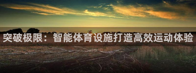 意昂4娱乐下载：突破极限：智能体育设施打造高效运动体