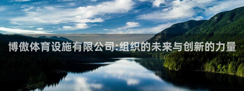 意昂4五金厂：博傲体育设施有限公司:组织的未来与创新