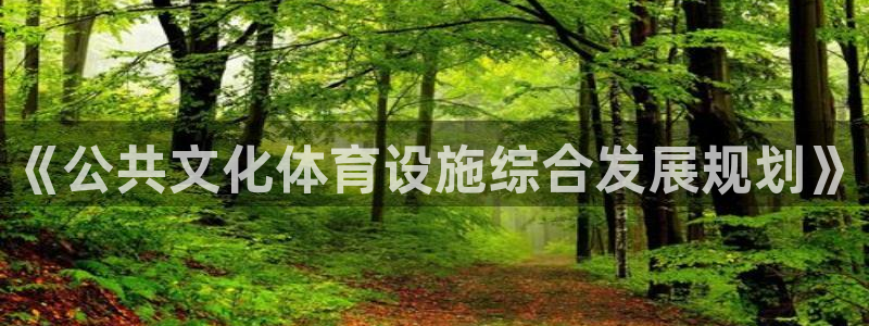 意昂4官网：《公共文化体育设施综合发展规划》