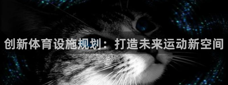 意昂体育4是干嘛的公司：创新体育设施规划：打造未来运