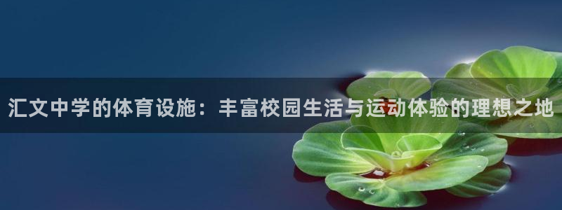意昂4集团简介：汇文中学的体育设施：丰富校园生活与运动体验的