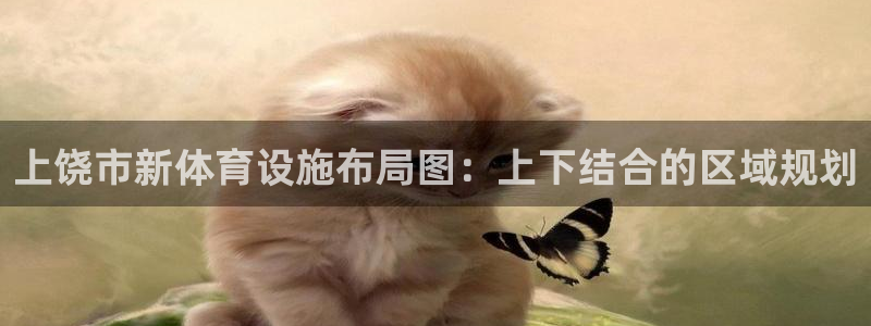 意昂体育4软件：上饶市新体育设施布局图：上下结合的区