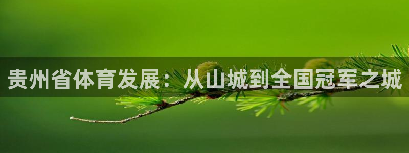 意昂4集团官网首页网址：贵州省体育发展：从山城到全国