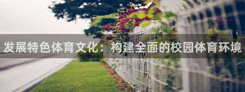 意昂4官网：发展特色体育文化：构建全面的校园体育环境