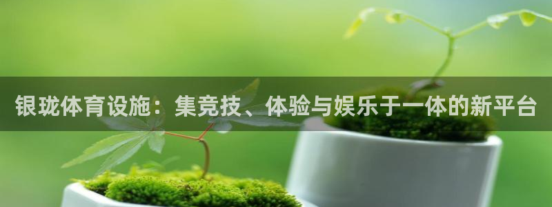 意昂4新能源：银珑体育设施：集竞技、体验与娱乐于一体