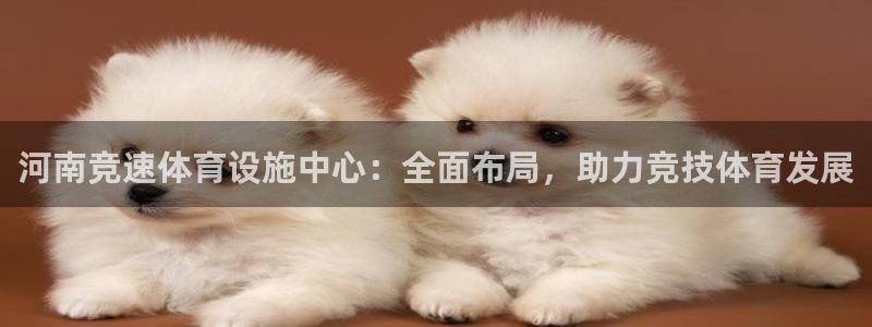 海南意昂体育4发展怎么样：河南竞速体育设施中心：全面