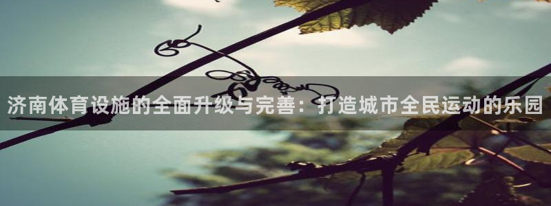 意昂4娱乐网站：济南体育设施的全面升级与完善：打造城