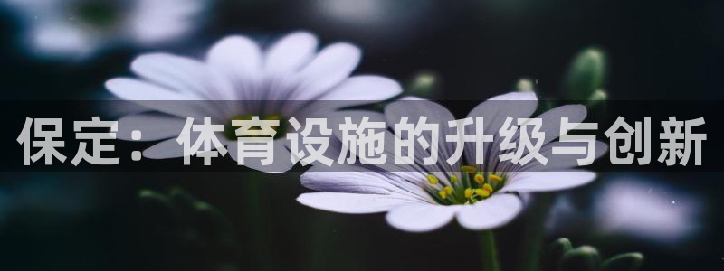 意昂4新能源