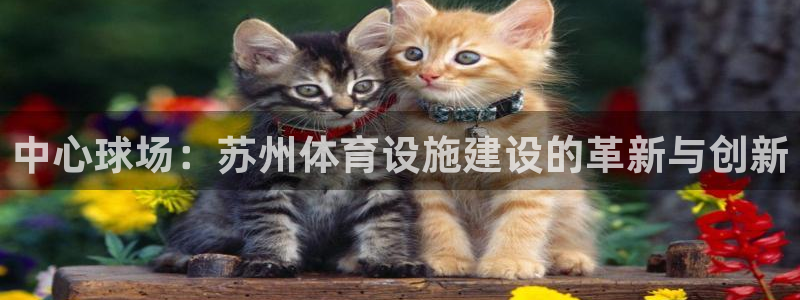 意昂4神州：中心球场：苏州体育设施建设的革新与创新