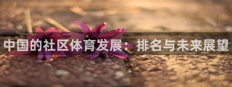 意昂4娱乐40996：中国的社区体育发展：排名与未来展望