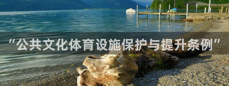 意昂体育4平台是正规平台吗知乎：“公共文化体育设施保
