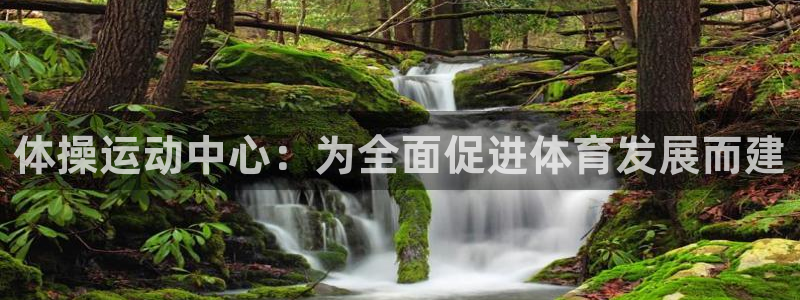 意昂体育4招商电话：体操运动中心：为全面促进体育发展