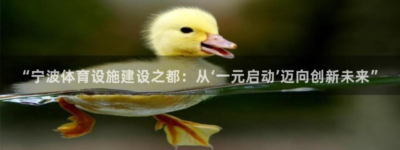 意昂体育4官方客服电话：“宁波体育设施建设之都：从‘
