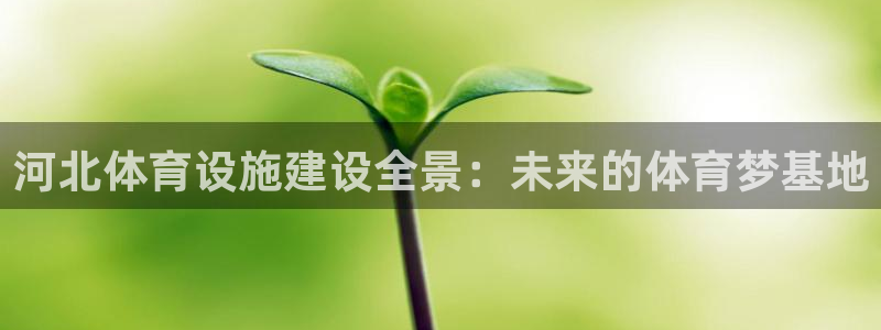 意昂4开户：河北体育设施建设全景：未来的体育梦基地