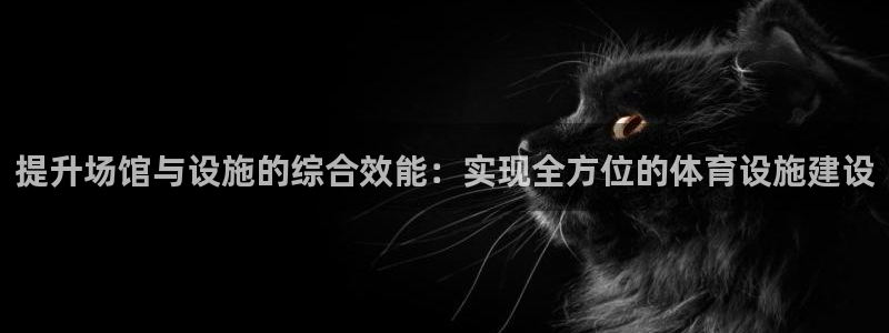 意昂4代理：提升场馆与设施的综合效能：实现全方位的体
