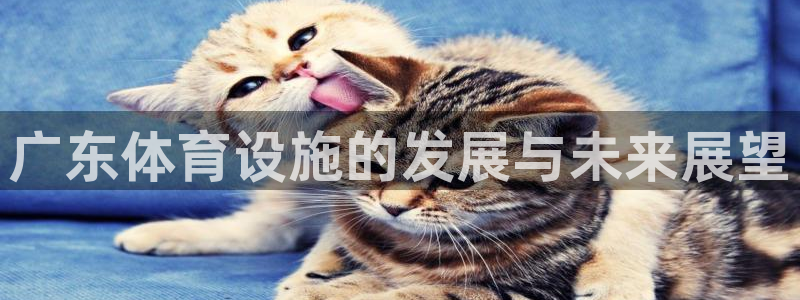 意昂体育4平台注册要钱吗是真的吗：广东体育设施的发展