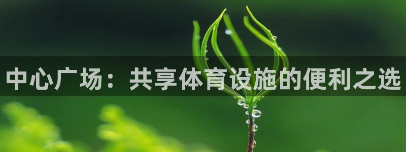 意昂体育4平台注册：中心广场：共享体育设施的便利之选