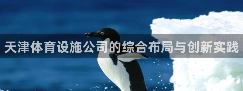意昂体育4平台注册流程视频：天津体育设施公司的综合布
