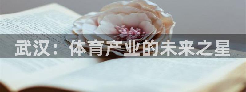 意昂体育4招商电话是多少