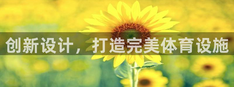 意昂4代理：创新设计，打造完美体育设施