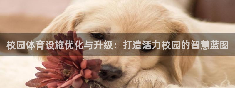 意昂体育4娱乐：校园体育设施优化与升级：打造活力校园的智慧蓝