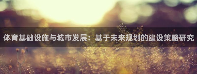 意昂4集团logo：体育基础设施与城市发展：基于未来