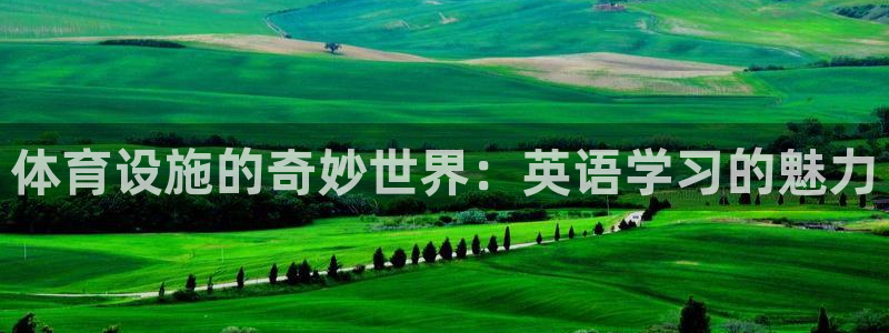 意昂4娱乐是那个系列的台子：体育设施的奇妙世界：英语学习的魅