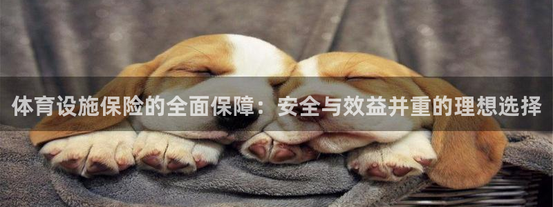 意昂4代理：体育设施保险的全面保障：安全与效益并重的理想选择