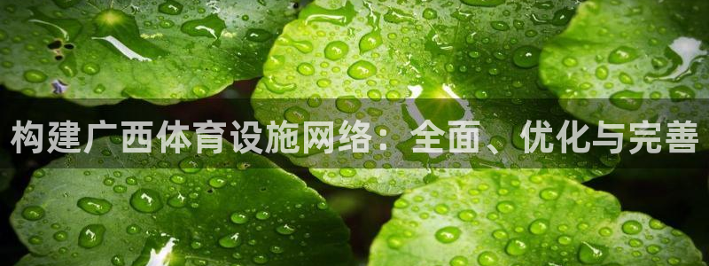 意昂体育4联系电话：构建广西体育设施网络：全面、优化与完善