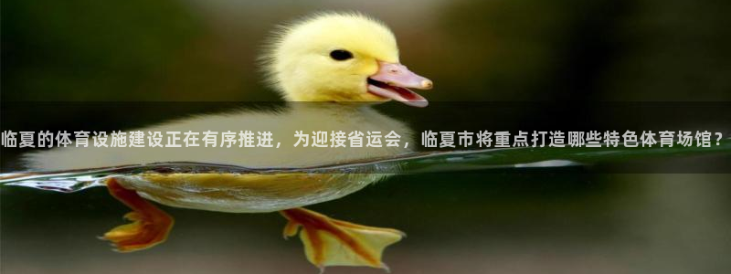 意昂4集团简介：临夏的体育设施建设正在有序推进，为迎接省运会 