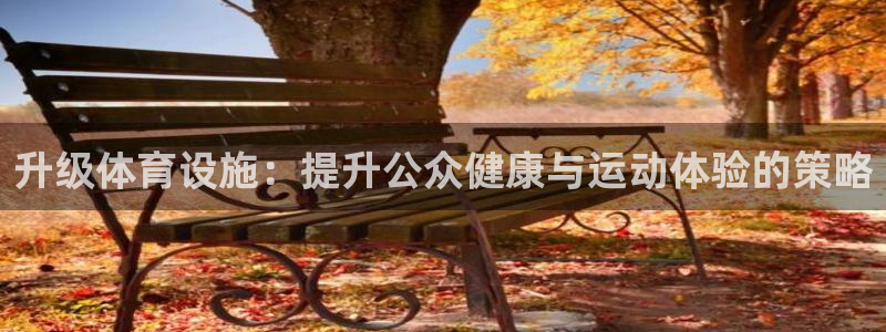意昂体育4招商电话是多少：升级体育设施：提升公众健康与运动体