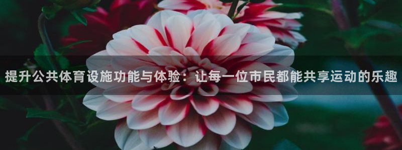 意昂4官网：提升公共体育设施功能与体验：让每一位市民