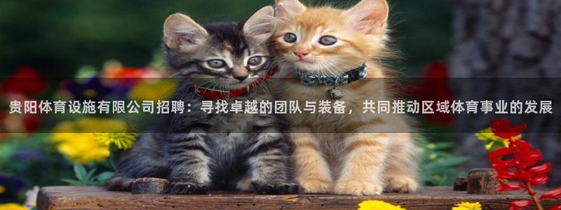 意昂4娱乐平台：贵阳体育设施有限公司招聘：寻找卓越的