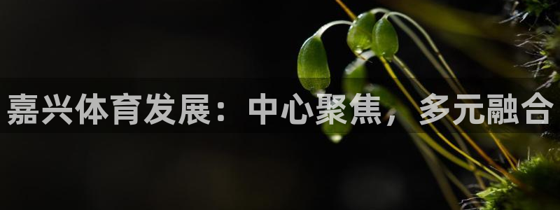 意昂4集团官网网址：嘉兴体育发展：中心聚焦，多元融合