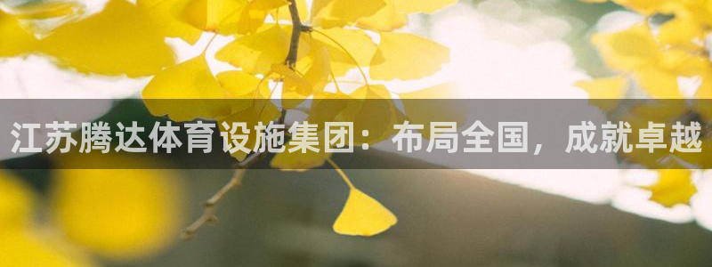 意昂体育4注册：江苏腾达体育设施集团：布局全国，成就卓越