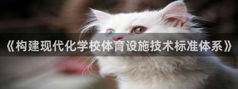 意昂体育4娱乐：《构建现代化学校体育设施技术标准体系》