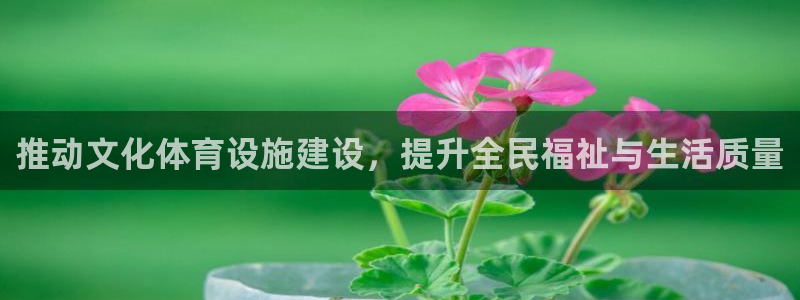 意昂体育4招商电话号码：推动文化体育设施建设，提升全民福祉与