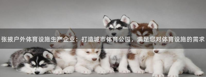 意昂集团官网：张掖户外体育设施生产企业：打造城市体育公园，满 