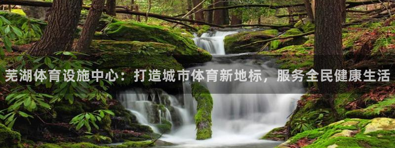 意昂4代理：芜湖体育设施中心：打造城市体育新地标，服务全民健