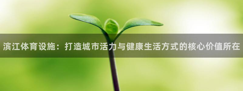 意昂4娱乐：滨江体育设施：打造城市活力与健康生活方式