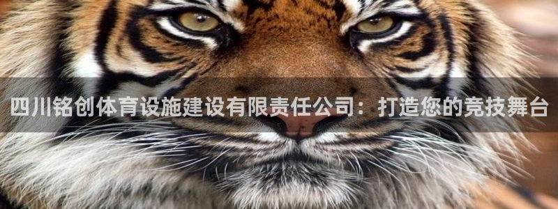 意昂4娱乐平台：四川铭创体育设施建设有限责任公司：打