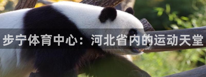 意昂4娱乐平台：步宁体育中心：河北省内的运动天堂