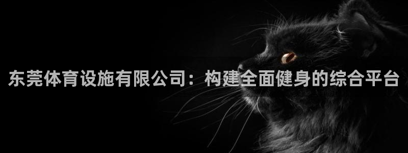 意昂平台体育：东莞体育设施有限公司：构建全面健身的综