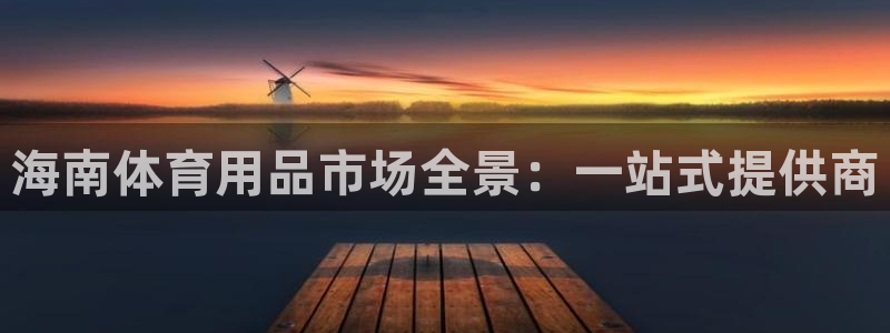 意昂体育4平台注册要钱吗安全吗：海南体育用品市场全景