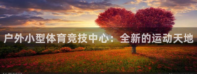 意昂4集团官网首页网址：户外小型体育竞技中心：全新的