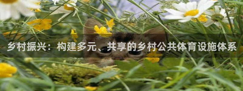 意昂体育4平台注册流程视频