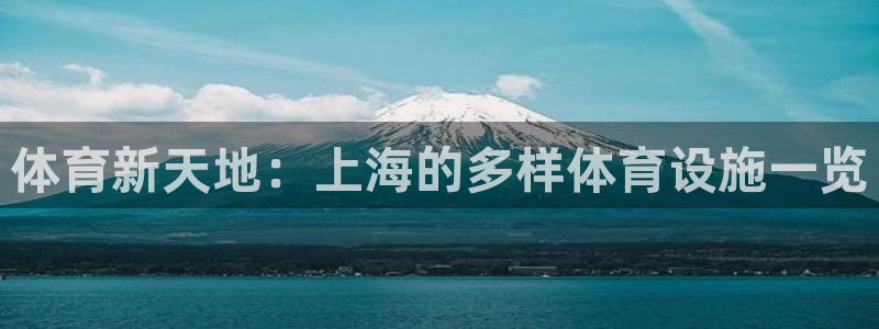 意昂4新能源：体育新天地：上海的多样体育设施一览