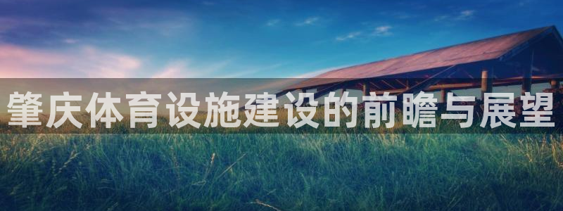 意昂4神州：肇庆体育设施建设的前瞻与展望