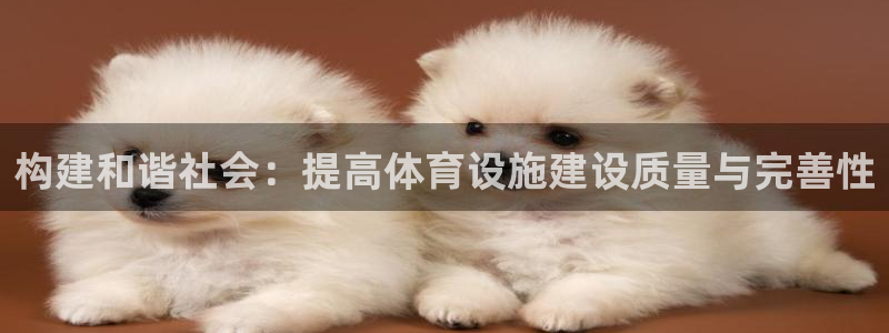 意昂体育4平台假的吗是真的吗吗：构建和谐社会：提高体